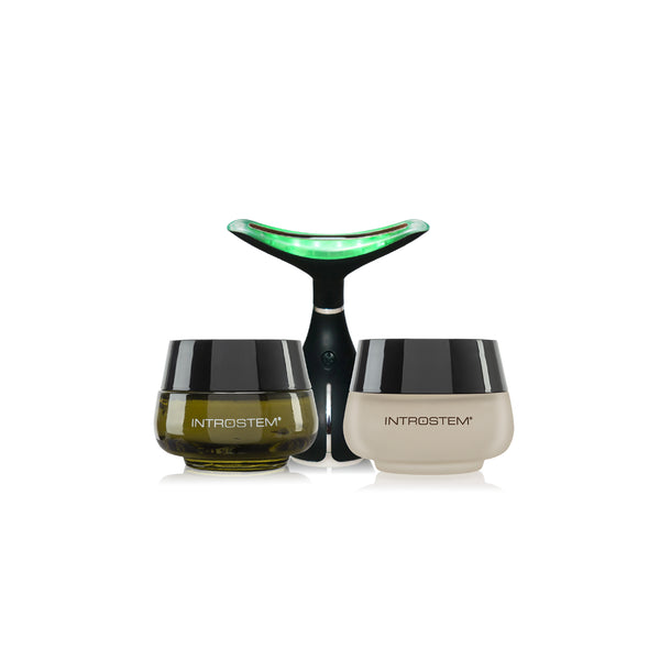 Introstem Neck Renewal Set